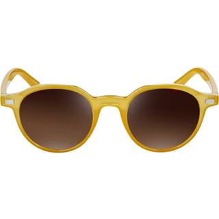 Wagner Gul og Brun Wade Solbrille