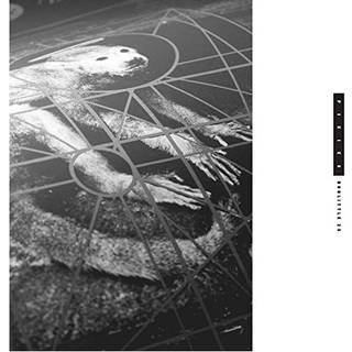 Pixies - Doolittle 25