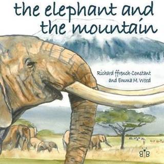 The Elephant and the Mountain