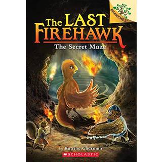 The Secret Maze: A Branches Book (The Last Firehawk #10)