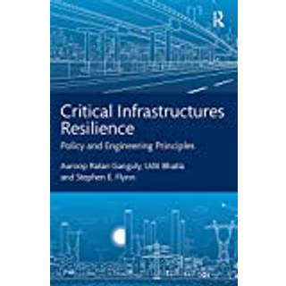 Critical Infrastructures Resilience