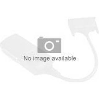 Prokord Displayport Kabel 0.25m. Displayport Dvi Sort