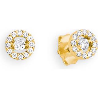 Palido Ohrstecker - ENJOY S5446G - gold