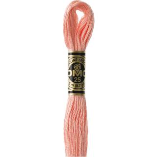 DMC Mouliné Spécial 25 Broderigarn - Farve 3824