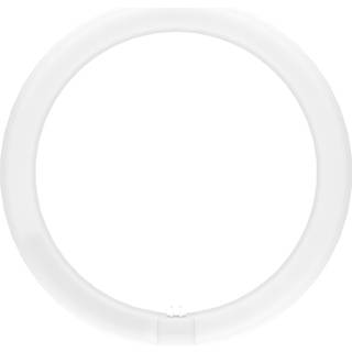 Ledvance Ledtube t9c em v 32 18.3w 830 g10q ledv