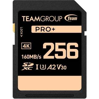 TeamGroup Pro 256GB UHS-I U3 A2 V30 4K UHD L?s/skriv hastighed op til 160/120MB/s SDXC hukommelseskort til professionelle Vloggers Filmskabere Fo
