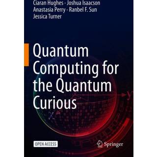 Quantum Computing for the Quantum Curious