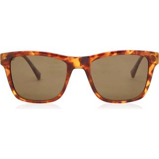 Privé Revaux THE BEAU/S WR9/SP 53 Solbriller Mænd Tortoiseshell - Tortoise - 53mm