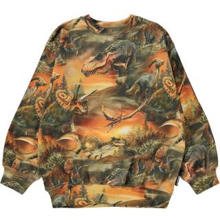 Molo GOTS Monti Sweatshirt Dino Dusk 164 cm  Grøn  164 cm  Unisex