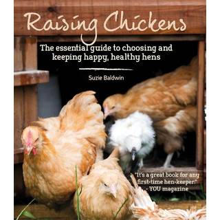 Raising Chickens