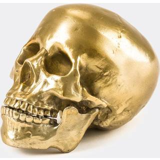 Seletti Decorative Objects - 'Wunderkrammer Skull', gold in GOLD Aluminium