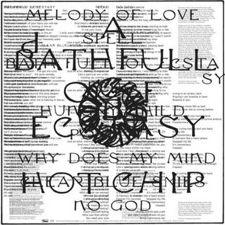 Hot Chip - A Bath Full of Ecstasy (Crystal Clear Coloured) (2 LP)