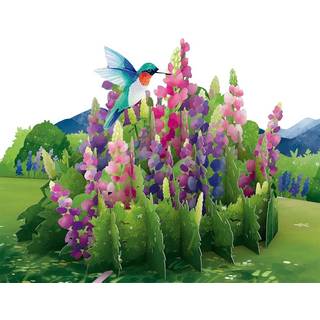 LovePop Lupin Hummingbird Pop -Up Card - Hummingbird Pop -Up lykønskningskort - 3D fødselsdagskort - 5 """" X 7 """" - Konvolut inkluderet