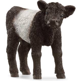 Schleich Galloway-Kalv