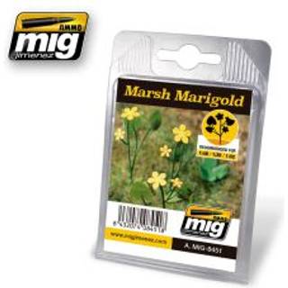 Marsh Marigold