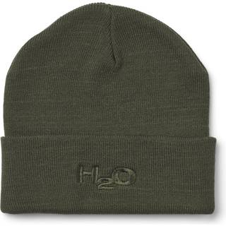 H2O hue
