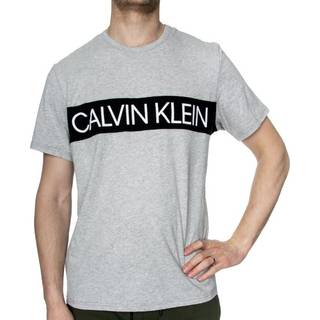 Calvin Klein Statement 1981 Graphic SS Crew - Grey - Large