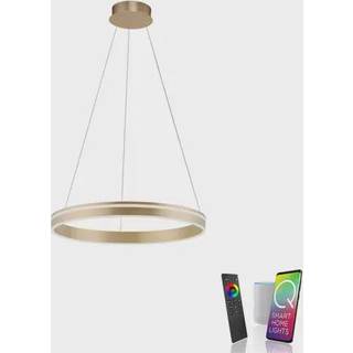 Paul Neuhaus Q-VITO LED-pendellampe, 1 ring