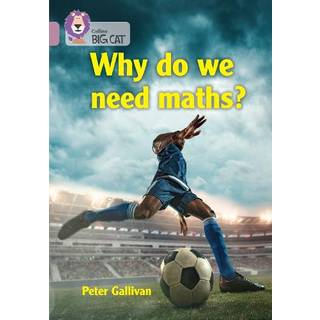 Why do we need maths?