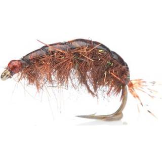 UF Tangloppen, Brown - Kystflue