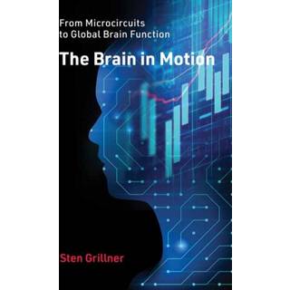 The Brain in Motion