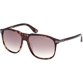 BMW BW0036 52P 58 Solbriller Mænd Tortoiseshell - Dark Tortoise - 58mm