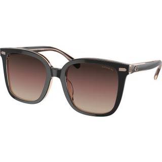 Coach HC8381F CL919 Asian Fit 5781E2 56 Solbriller Kvinder Black - Black - 56mm