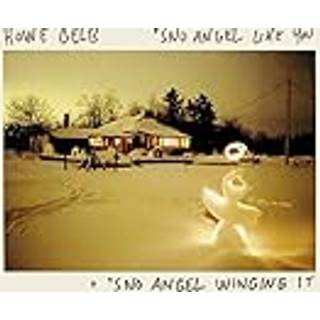 Howe Gelb - Sno Angel Like You  Sno Angel  Winging It