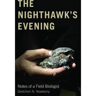 The Nighthawk's Evening