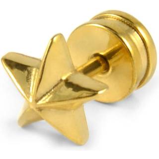 6mm Guld Stjerne Stud Ørering