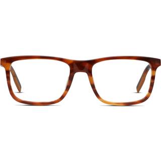 Ermenegildo Zegna EZ5142 053 55 Briller Mænd Tortoiseshell - Tortoise - 55mm