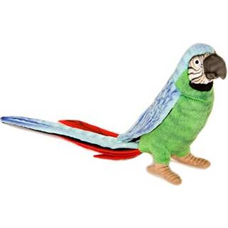 Papeg?je gr?n/bl? 7 ''