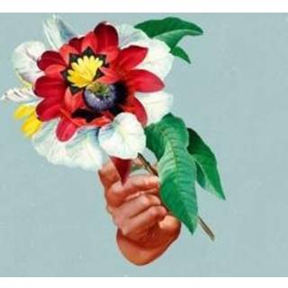 Maribou State - Kingdoms In Colour