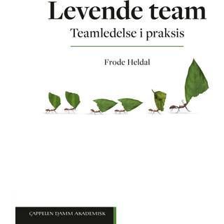 Levende team : teamledelse i praksis