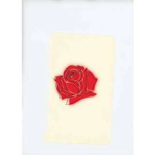 Lany