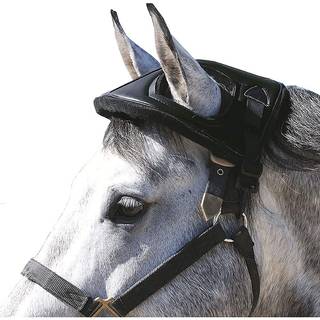 Cashel Horse hjelm sort