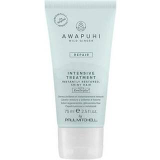 Paul Mitchell Awapuhi Wild Ginger Repair Intevsive Treatment Intensiv hårbehandling Til skadet hår 75 ml - 75 ml