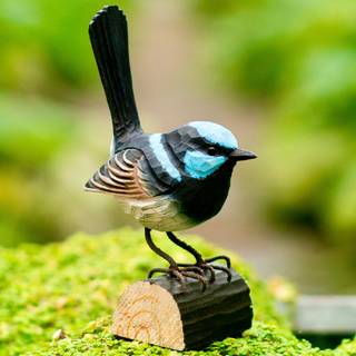 Wildlife Garden Sortstrubet Alfesmutte - Udendørsliv fra Wildlife Garden