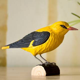 Wildlife Garden Pirol - Udendørsliv fra Wildlife Garden