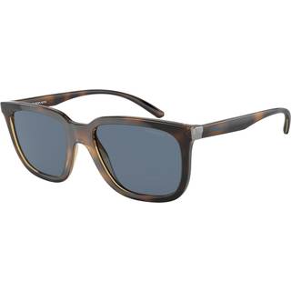 Sunglasses Arnette Plaka AN4306 27702V