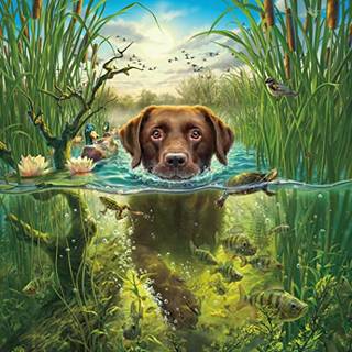 CEACO - Mark Fredrickson - Chocolate Lab - 550 Piece Jigsaw Puzzle