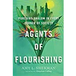 Agents of Flourishing – Pursuing Shalom in Every Corner of Society