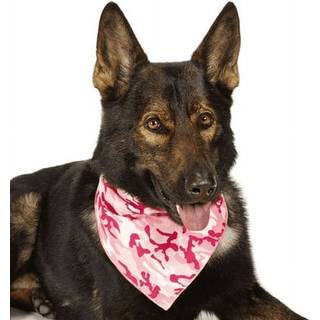 Aria Camo Bandanas til hunde Pink