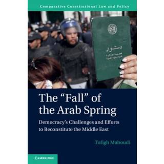 The 'Fall' of the Arab Spring