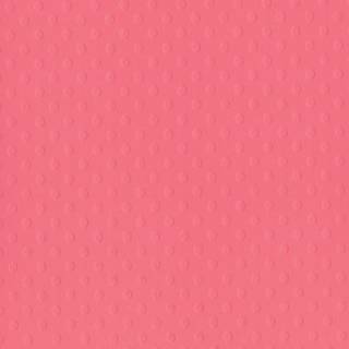 Bazzill CDSTK 12x12 stiplet schweizisk koralrev