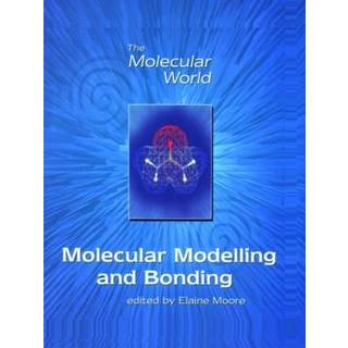 Molecular Modelling and Bonding
