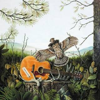 Dandy Warhols - This Machine