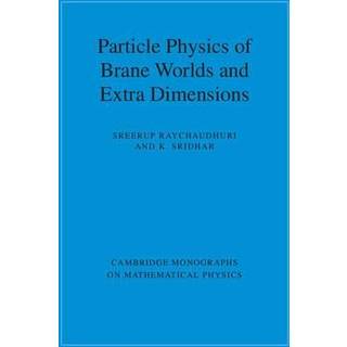 Particle Physics of Brane Worlds and Extra Dimensions