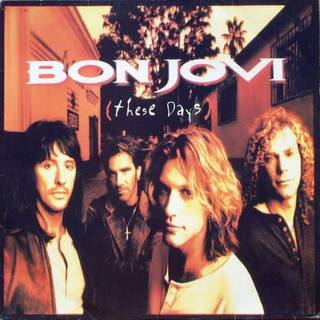 Bon Jovi - These Days (180 g) (2 LP)