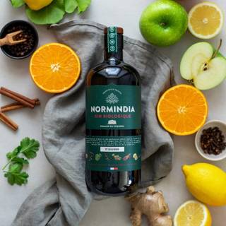 Normindia Biologique Gin 41,4%
